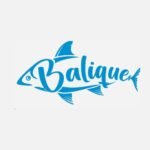 Balique 2023 Ltd MMC