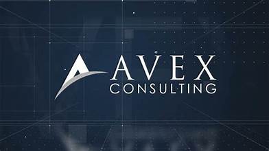 Avex Audit and Consulting