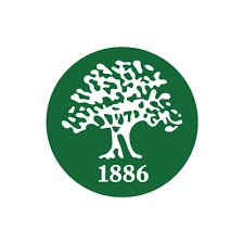 SABİS SUN İnternational School