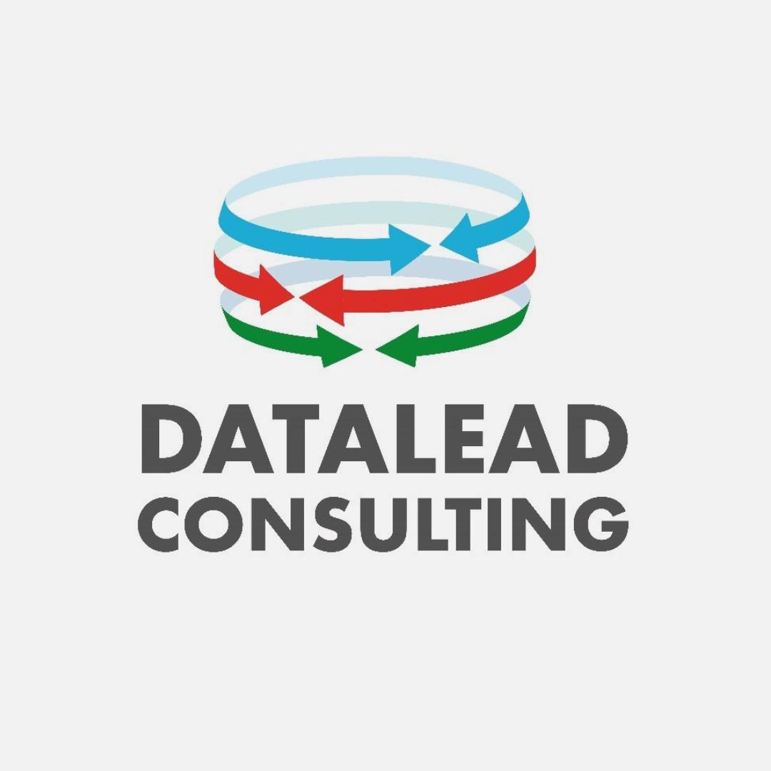 Datalead MMC