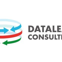DataLead Consulting